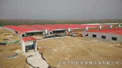 规模化养殖场蛋鸡笼的规划布局
