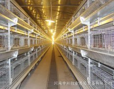 蛋鸡笼养鸡规模化养鸡有哪些优点