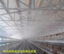 笼养设备鸡笼喷雾正确的操作方法