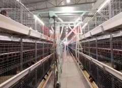 养鸡设备中的鸡用乳头式水线组成部分和作用