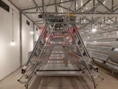 养鸡设备中的喂料设备介绍