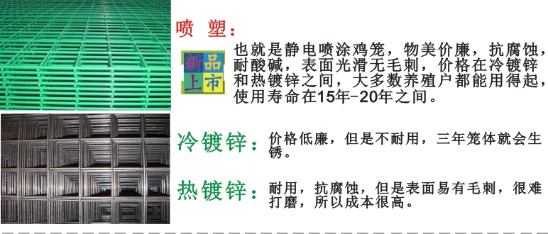 养鸡设备-中州农牧科技