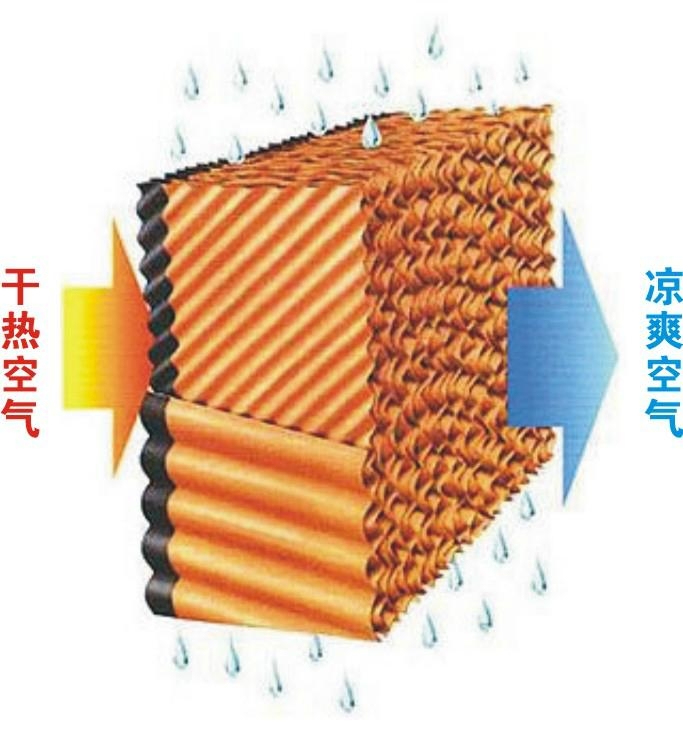 养鸡设备,中州农牧科技