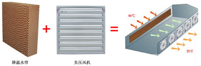 养鸡设备,中州农牧科技